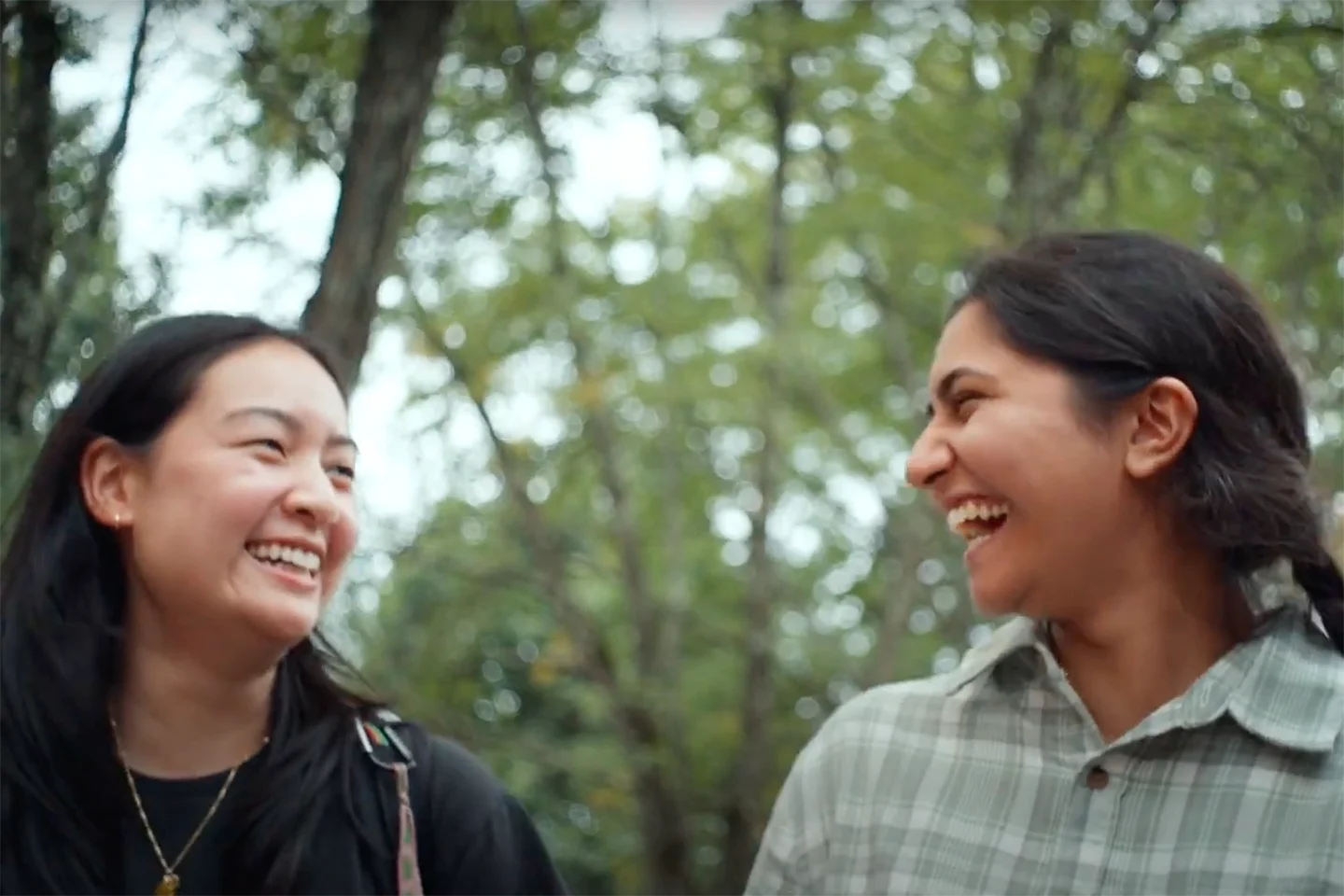 The Muhlenberg Experience